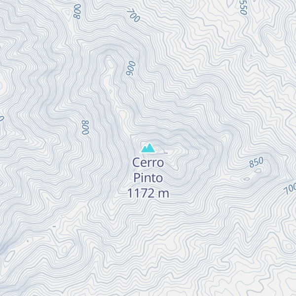 Map of Cerro Pinto