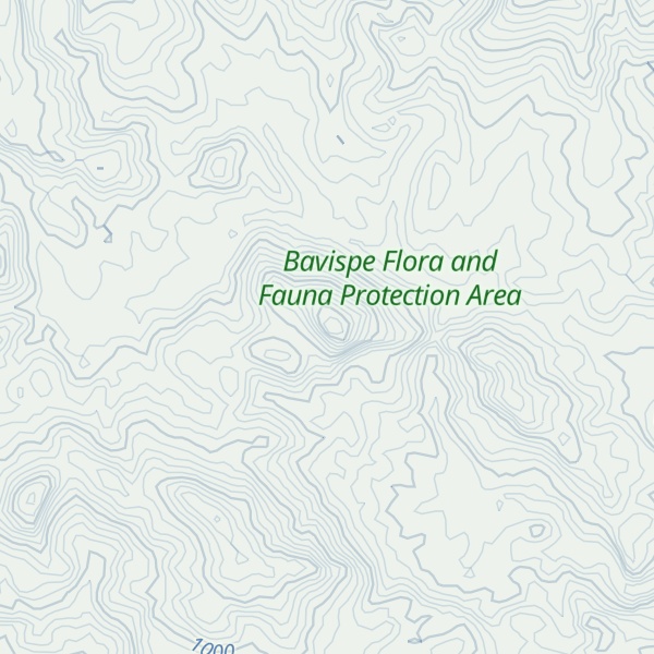 Map of Cerro Placido