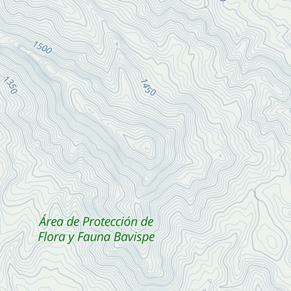 Map of Cerro Caloso
