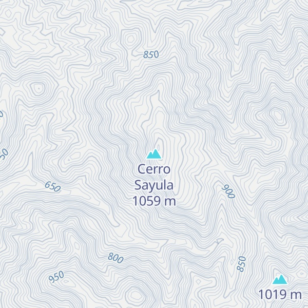 Map of Cerro Sayula