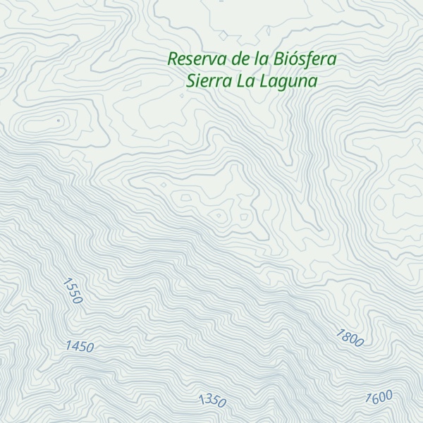 Map of Cerro San Antonio
