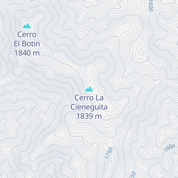 Map of Cerro La Cieneguita