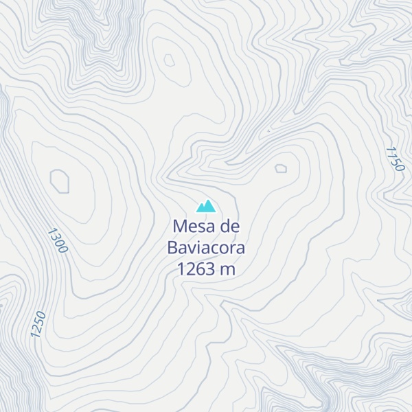 Map of Mesa de Baviacora