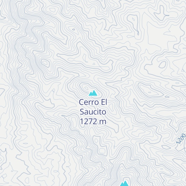 Map of Cerro El Saucito