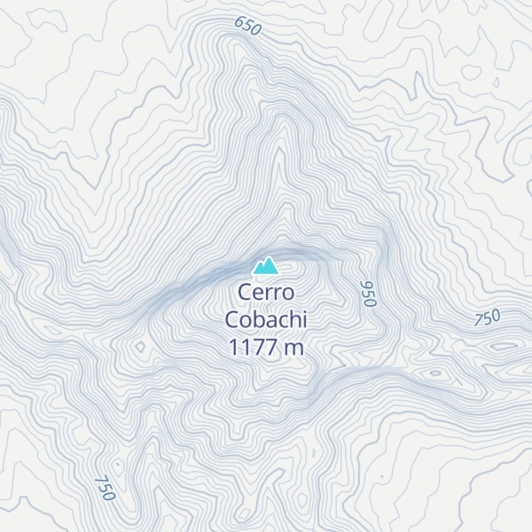 Map of Cerro Cobachi