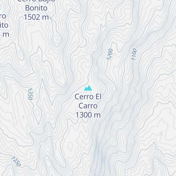 Map of Cerro El Carro