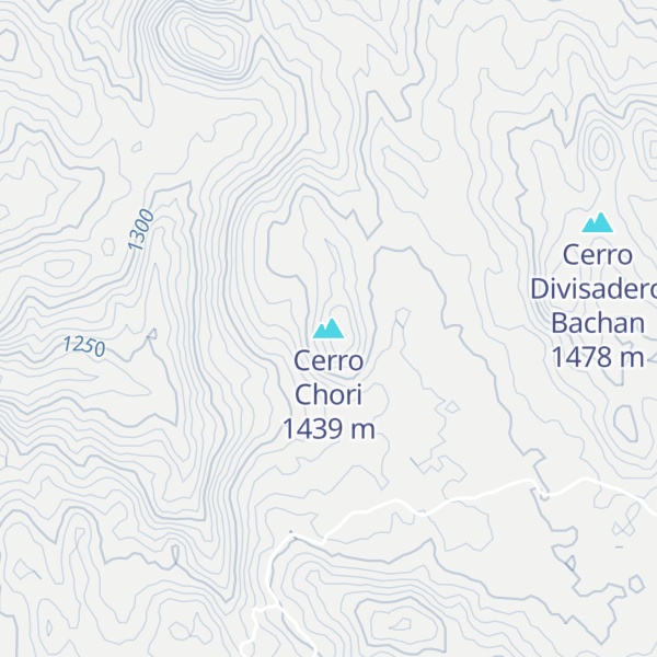 Map of Cerro Chori