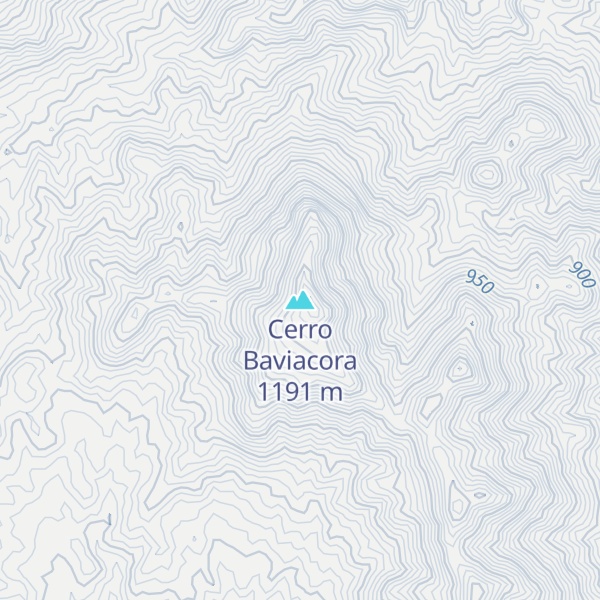 Map of Cerro Baviacora