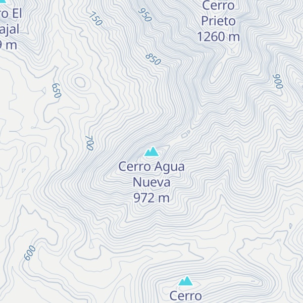 Map of Cerro Agua Nueva