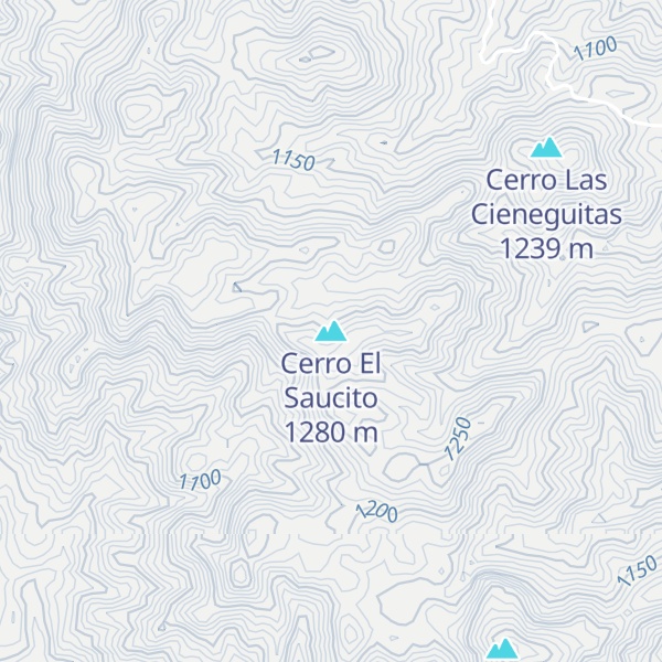 Map of Cerro El Saucito