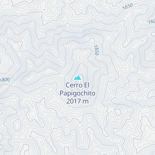 Map of Cerro El Papigochito