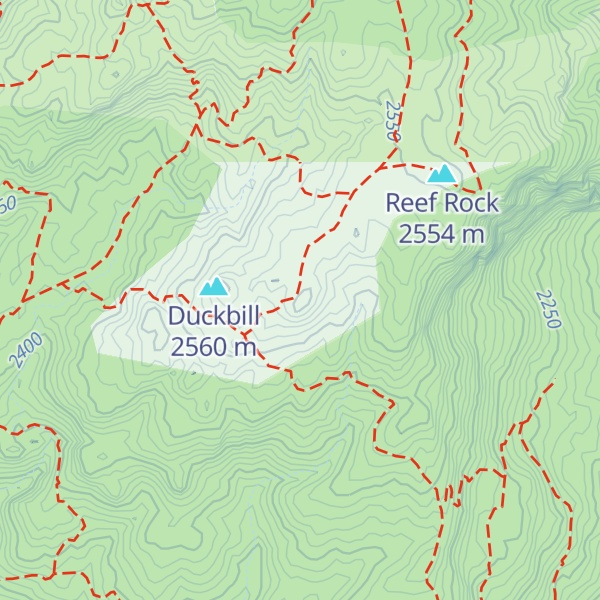 Map of Man Head
