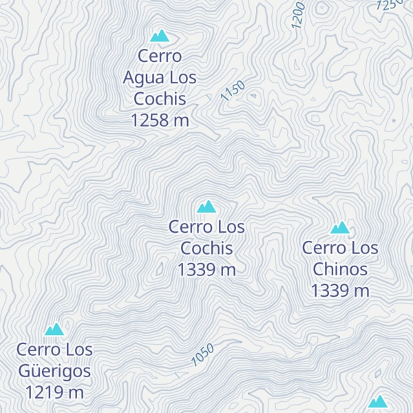 Map of Cerro Los Cochis