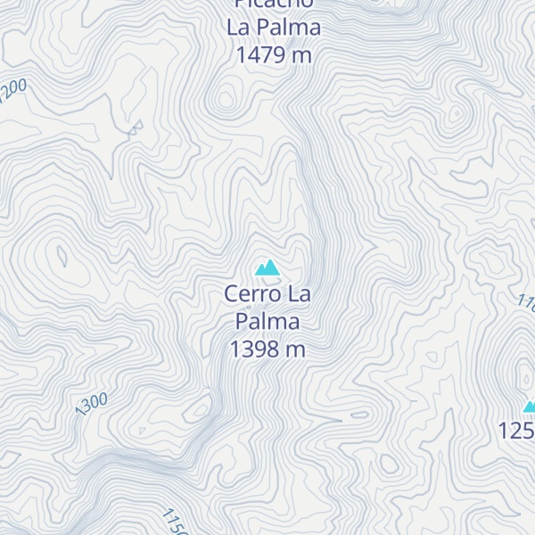 Map of Cerro La Palma