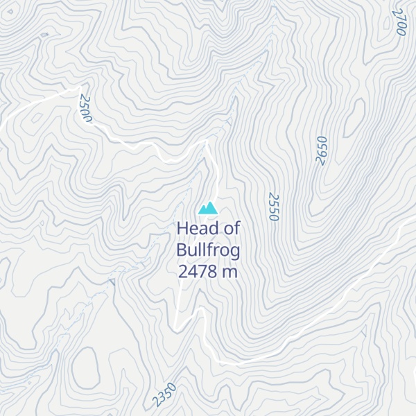 Map of Head of Bullfrog