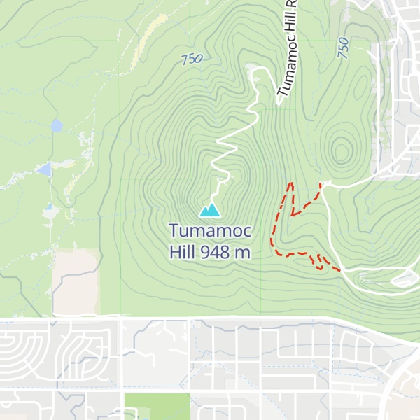 Map of Tumamoc Hill