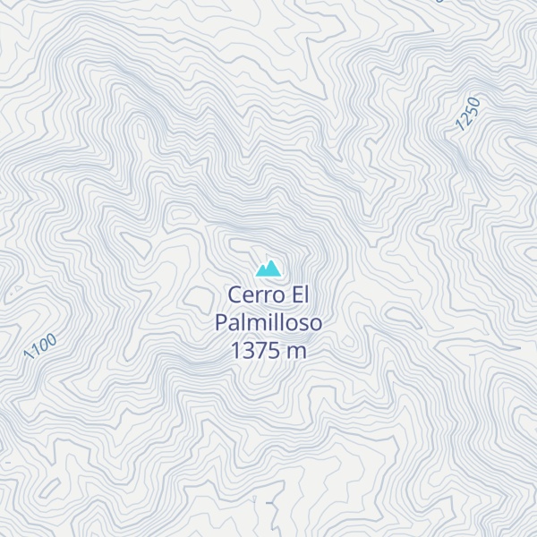 Map of Cerro El Palmilloso