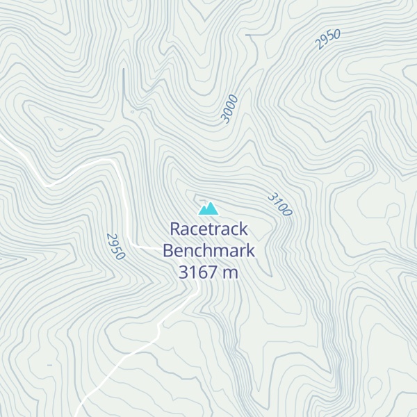 Map of Racetrack Benchmark