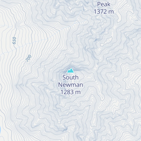 Map of South Newman
