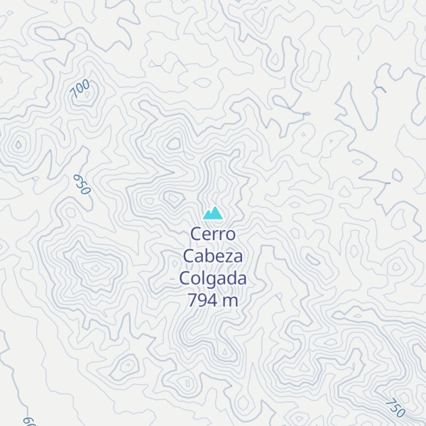 Map of Cerro Cabeza Colgada
