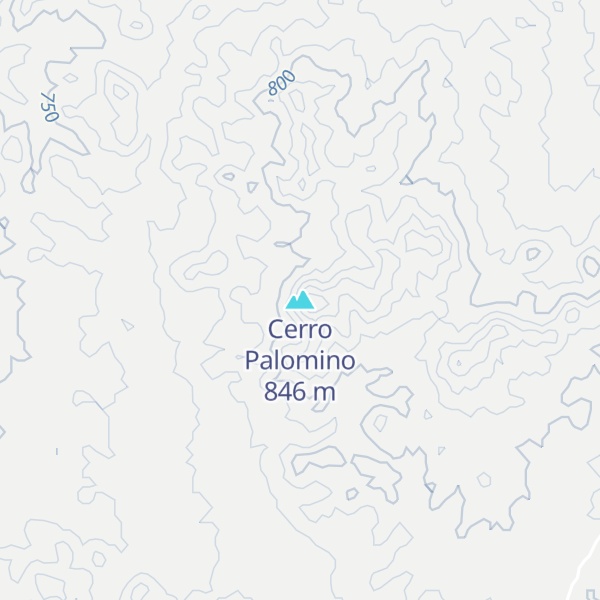 Map of Cerro Palomino