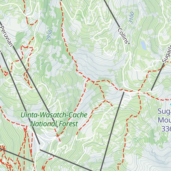 Map of Mount Baldy