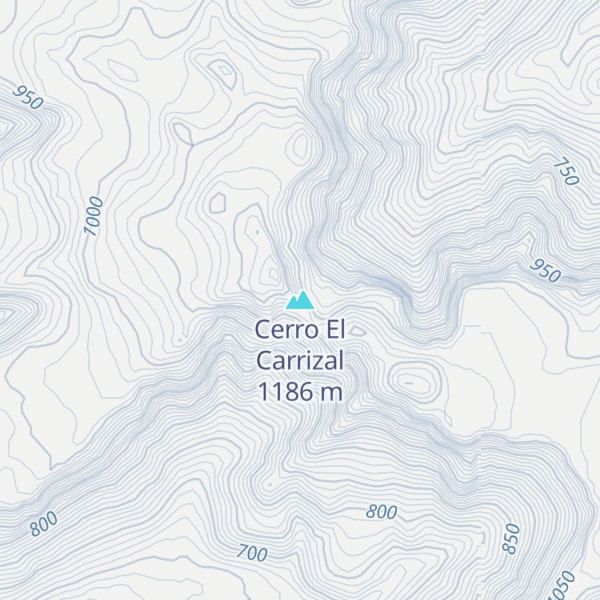 Map of Cerro El Carrizal