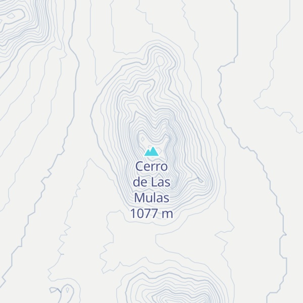 Map of Cerro de Las Mulas