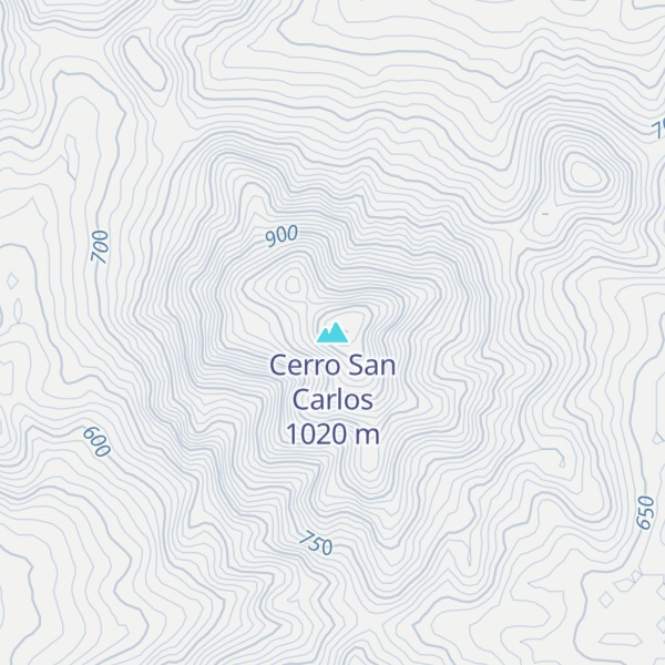 Map of Cerro San Carlos