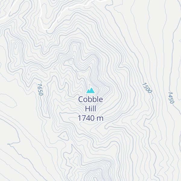Map of Cobble Hill