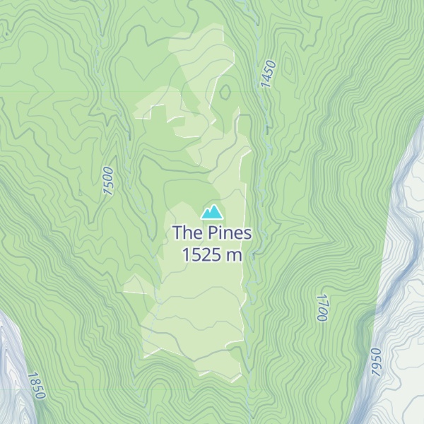 Map of The Pines