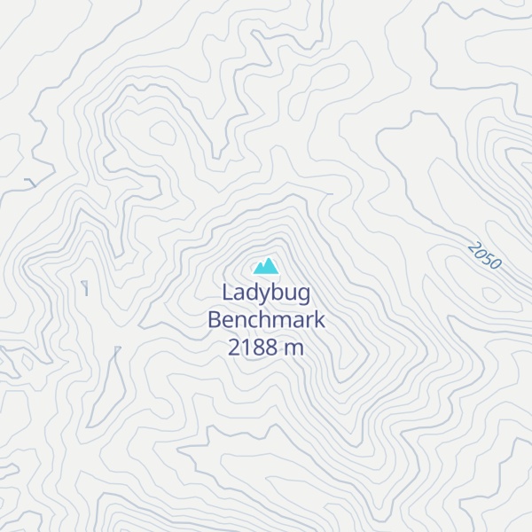Map of Ladybug Benchmark