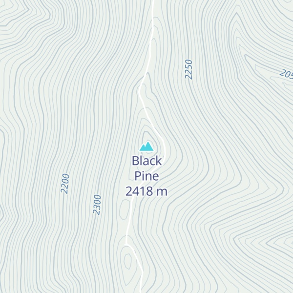 Map of Black Pine