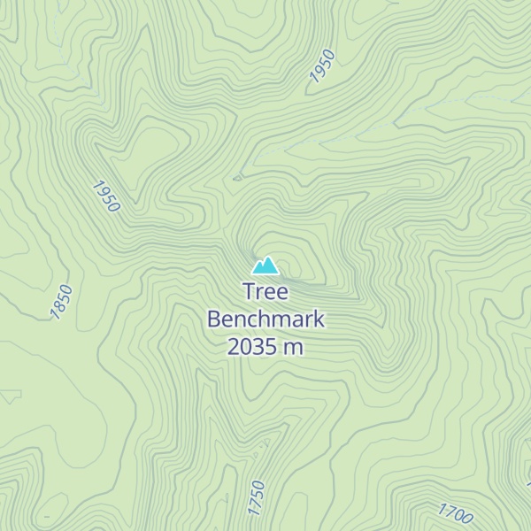 Map of Tree Benchmark