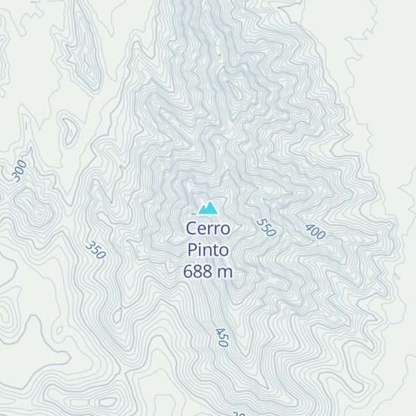 Map of Cerro Pinto