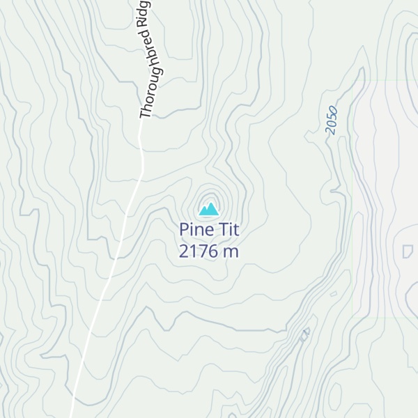 Map of Pine Tit