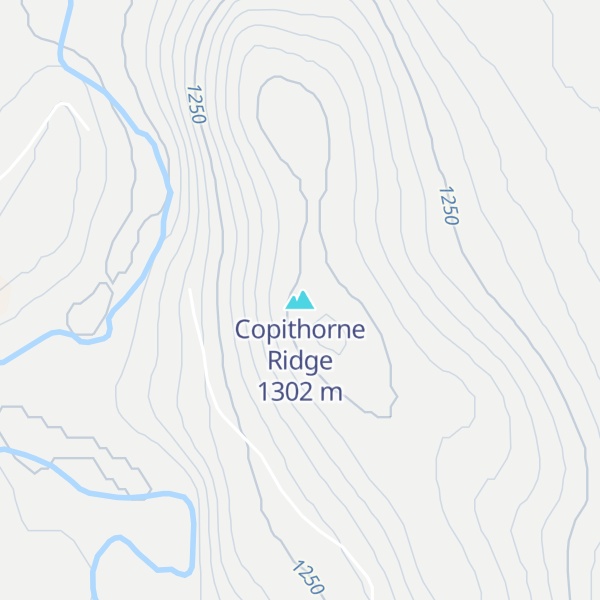 Map of Copithorne Ridge