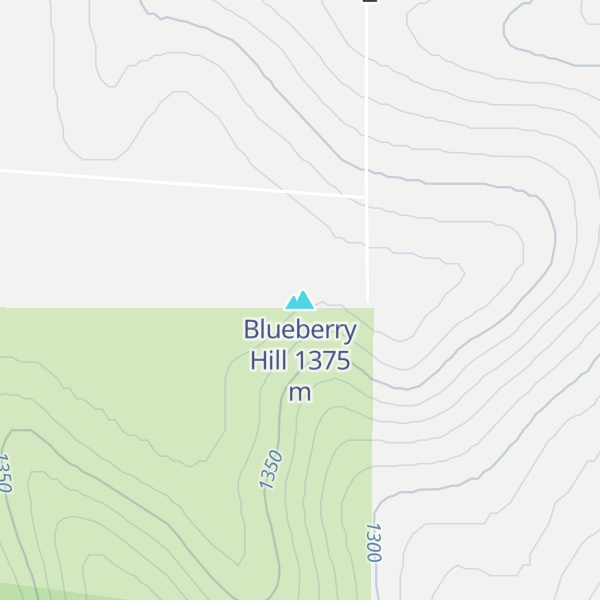 Map of Blueberry Hill