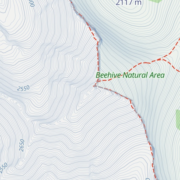 Map of Mount Lyall