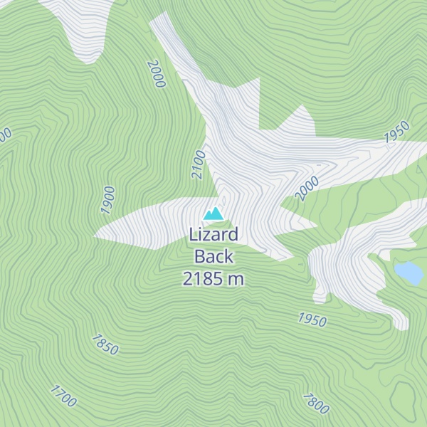 Map of Lizard Back