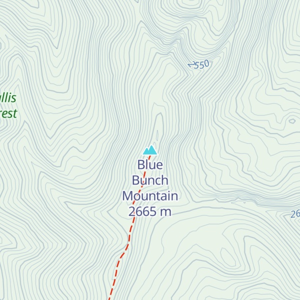 Map of Blue Bunch Mountain