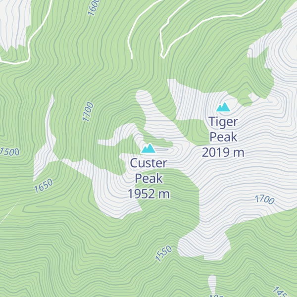 Map of Custer Peak