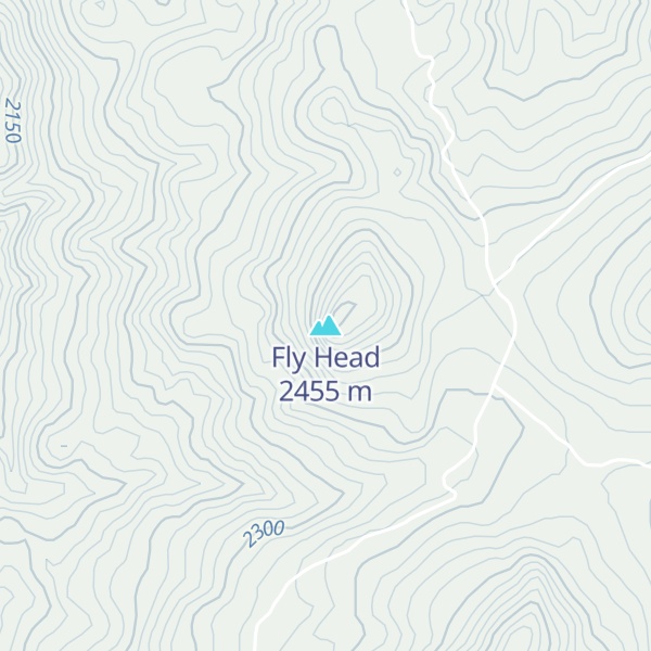 Map of Fly Head