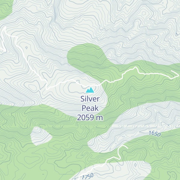 Map of Silver Peak