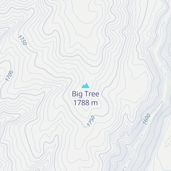 Map of Big Tree