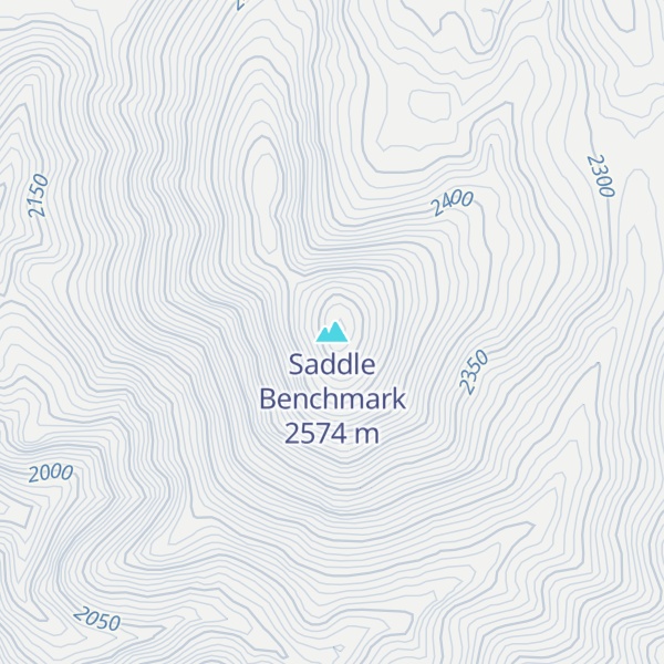 Map of Saddle Benchmark