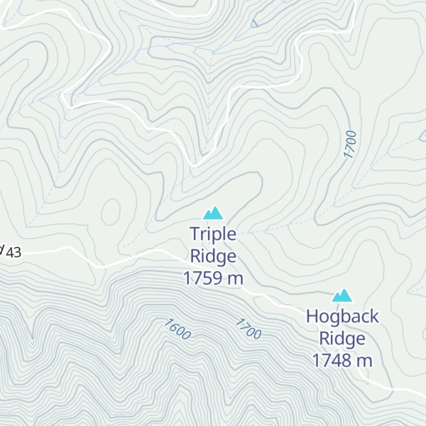 Map of Triple Ridge