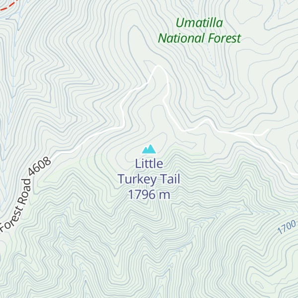 Map of Little Turkey Tail