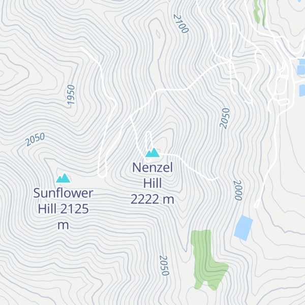 Map of Nenzel Hill