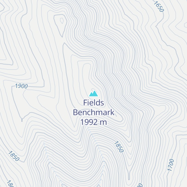 Map of Fields Benchmark